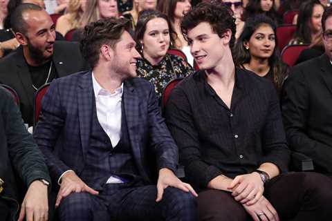Shawn Mendes Brings Out Niall Horan For a Run Through ‘This Town’ During London Show: ‘I’ll..