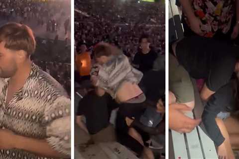 Alleged Rüfüs Du Sol Rose Bowl Brawler Arrested for Assault and Battery