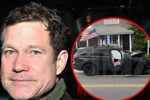 Cops Say They Found Open White Claws In SUV 'Nip/Tuck' Star Dylan Walsh Crashed