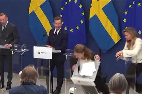 Swedish Health Minister Elisabet Lann Faints Mid-Press Conference