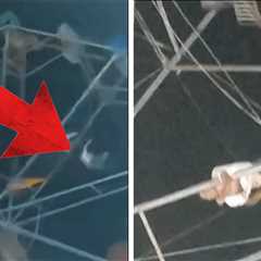 Man Dangles From Ferris Wheel at Fair in Brazil, on Video