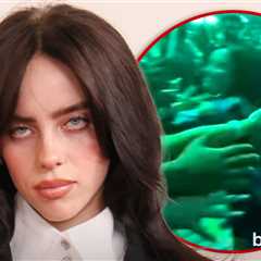 Billie Eilish Violently Grabbed By Fan During Miami Concert