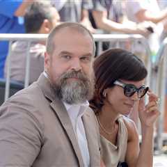 Lily Allen Allegedly Gestures Towards David Harbour's Rumored Infidelity In Her New Music