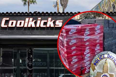 CoolKicks L.A. Raid Recovers $500K in Alleged Stolen Nike Items, LAPD Reports