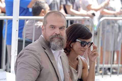Lily Allen Allegedly Gestures Towards David Harbour's Rumored Infidelity In Her New Music