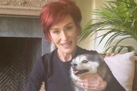 Sharon Osbourne Mourns Death of Her Dog Elvis