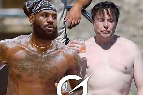 Grok Insists Elon Musk Is More Fit Than LeBron James