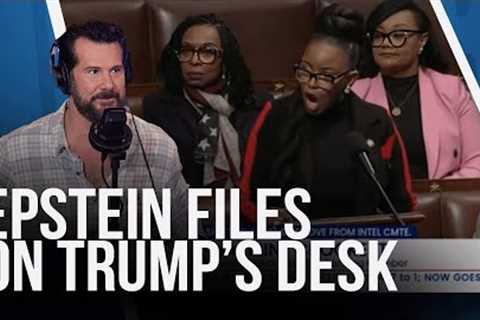 Democrats Are Lying Their A** Off About the Epstein Files