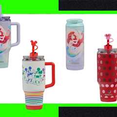Igloo’s ‘Little Mermaid’ and Disney Tumblers Are Back in Stock for the Holidays – and On Sale..