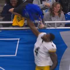 Steelers’ DK Metcalf appears to strike Lions fan in stands during wild altercation