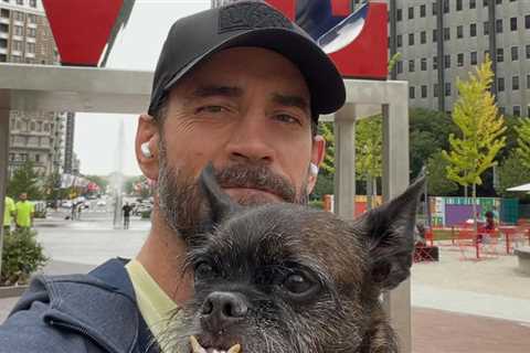 Wrestler CM Punk Mourns Dog's Death in Heartbreaking Instagram Post