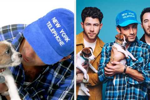 The Jonas Brothers Just Did Our Puppy Interview — Here's Everything They Revealed