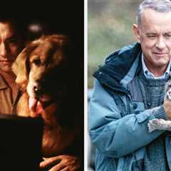 Only True Fans Of America's Dad Can Guess The Movie By An Image Of Tom Hanks