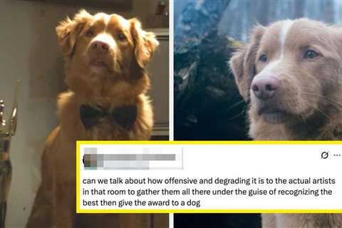 “An Insult To The Human Nominees”: People Are Fuming After A Dog Beat Five Human Actors — Including ..