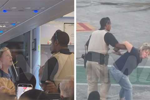 Woman Dragged Off Plane in St. Thomas With 2 Frenchies, Video Shows