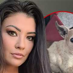 'Real World: Portland' Star Averey Tressler's Dog Dies