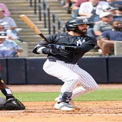 Austin Wells ready to ‘find different switches’ on both sides of ball to take Yankees leap