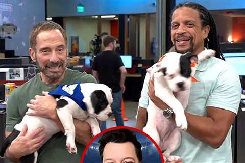Puppy Bowl Ref Promises More Drama Than Human Super Bowl