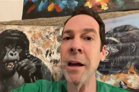 Viral Monkey Named Punch Needs a Real Mom to Love Him, Expert Says