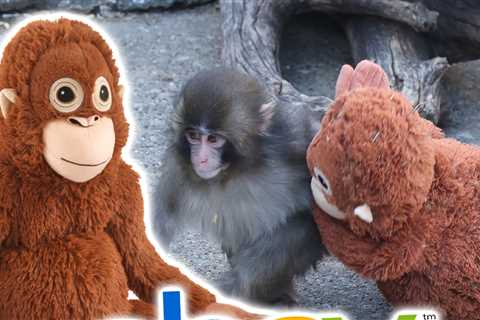 Viral Stuffed IKEA Monkey Sells for Hundreds on eBay