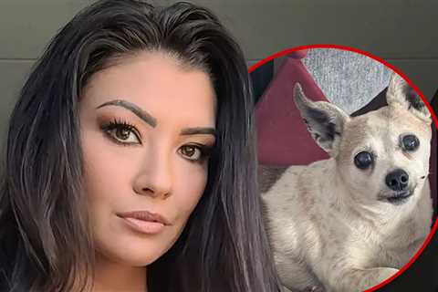 'Real World: Portland' Star Averey Tressler's Dog Dies