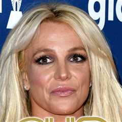 Britney Spears Took Field Sobriety Tests, Suspected of Drugs & Alcohol, CHP Says