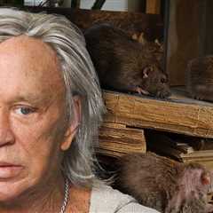 Mickey Rourke Says He Stopped Paying Rent Over Rodent Infested Apartment