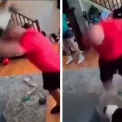 Brutal Dog Assault Caught on Camera, Police Investigating Incident