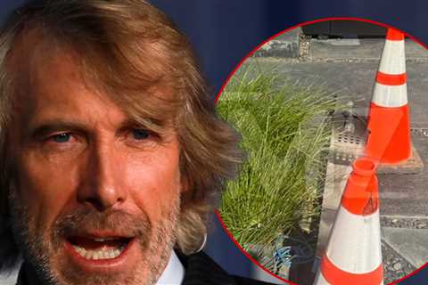 Michael Bay Sues Women Who Allegedly Damaged His Home In Hit-and-Run
