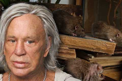 Mickey Rourke Says He Stopped Paying Rent Over Rodent Infested Apartment