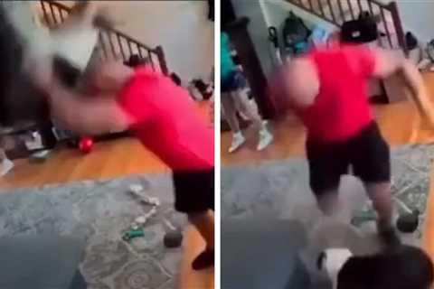 Brutal Dog Assault Caught on Camera, Police Investigating Incident