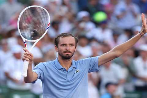 Daniil Medvedev makes public plea to United Airlines to find his missing bags after flight to Miami ..