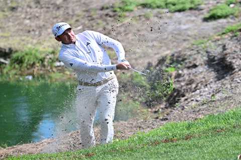 Pro golfer uses caddie for bold wife search move at  Valspar Championship