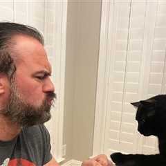 WWE Superstar Drew McIntyre Mourns Death Of His Beloved Cat, Chaz
