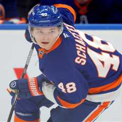 Mathieu Darche’s moves were bold in his first year as Islanders GM, but their ultimate impact..