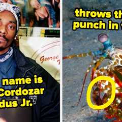 My Brain Is Genuinely Sweating After Reading These 110 Weirdly Interesting Facts