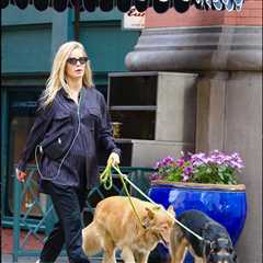 Sebastian Stan's GF Annabelle Wallis Debuts Baby Bump in NYC