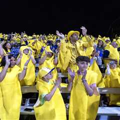 What Major League Baseball can learn from the mega success of the Savannah Bananas