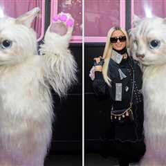 Paris Hilton's Pussycat Pic -- What's The Big Frigin' Difference?!
