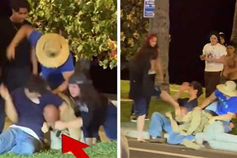 DHS Says Man Dressed as ICE Agent Beaten at Hawaii Protest Not With Agency