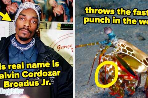 My Brain Is Genuinely Sweating After Reading These 110 Weirdly Interesting Facts