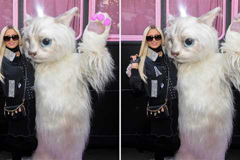 Paris Hilton's Pussycat Pic -- What's The Big Frigin' Difference?!