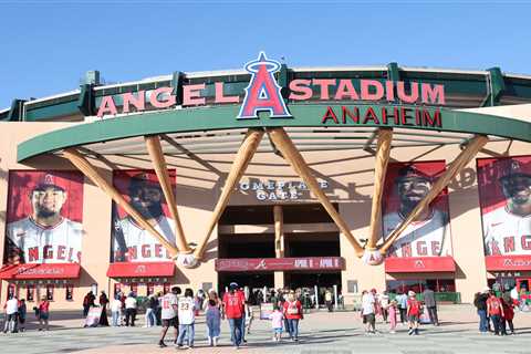 Rodent infestation shuts down Angel Stadium section: discovery of ‘rodent droppings’