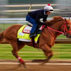 The Puma scratched from Kentucky Derby due to swelling in leg