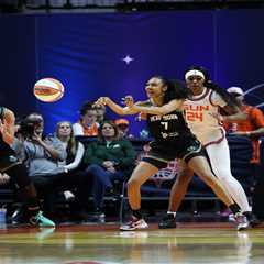 Liberty opt for veteran Rebekah Gardner with final roster spot