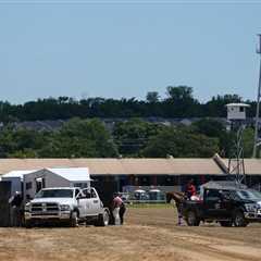 Horse dies after finish line collapse in horror start to Preakness weekend