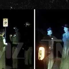 Britney Spears Dashcam Shows Cops Cuffing Her After Failing Sobriety Test