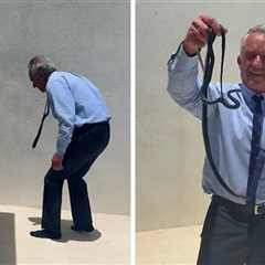 RFK Jr. Double-Fists Snakes Having Sex