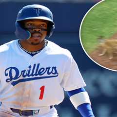 Tulsa Drillers, Dodgers minor-league team, suspending bat dog program after freak injury