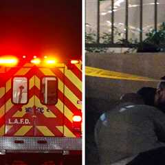 2 Adults, 2 Children Found Dead In L.A. Home, Suspected Murder-Suicide
